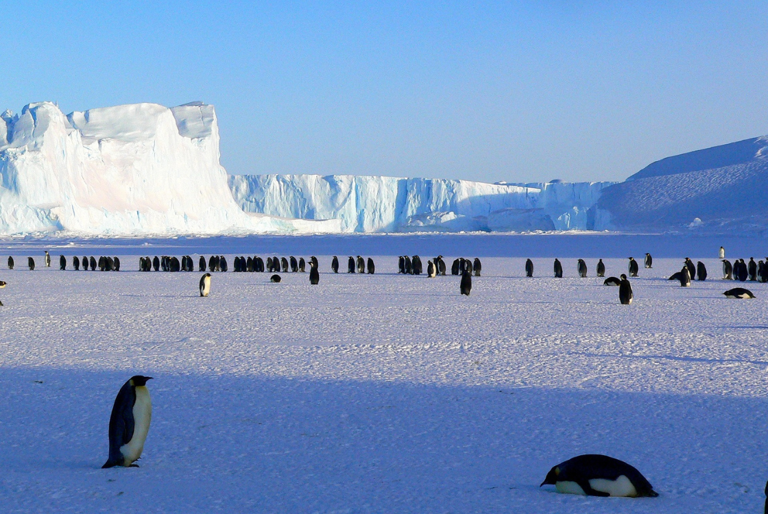pole-antarctique-expedition-neomare-voyages-iceberg-pole