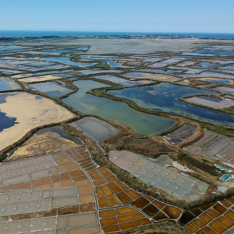 atlantic-hopper-neomare-voyages-la-baule-experiences-guerande