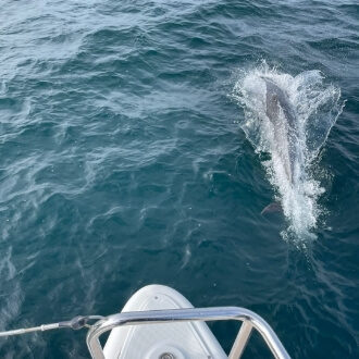 Séjours découverte en catamaran en Bretagne